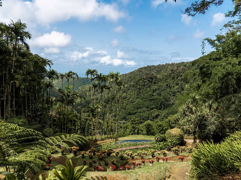 activité jardin de balata