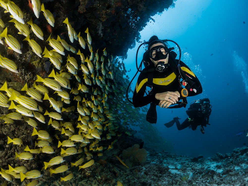 explorer les fonds marins