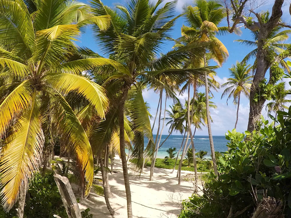 Plage de l'anse michel