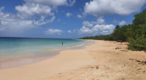 Grande anse des salines Martinique