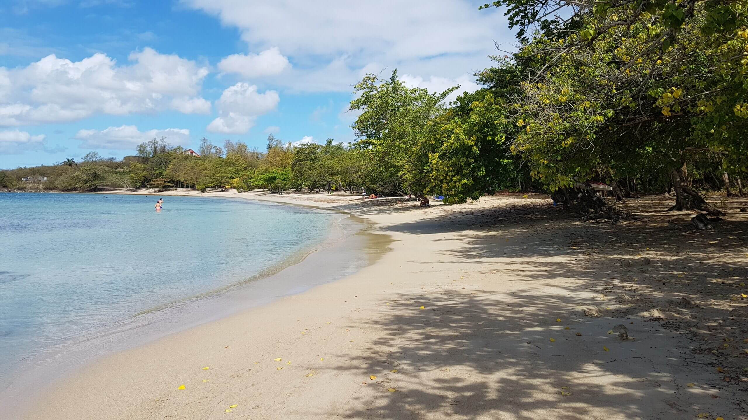 Plage anse mabouya Sainte Luce