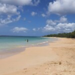 Grande anse des salines Martinique