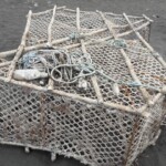 Nasse de pêcheur
